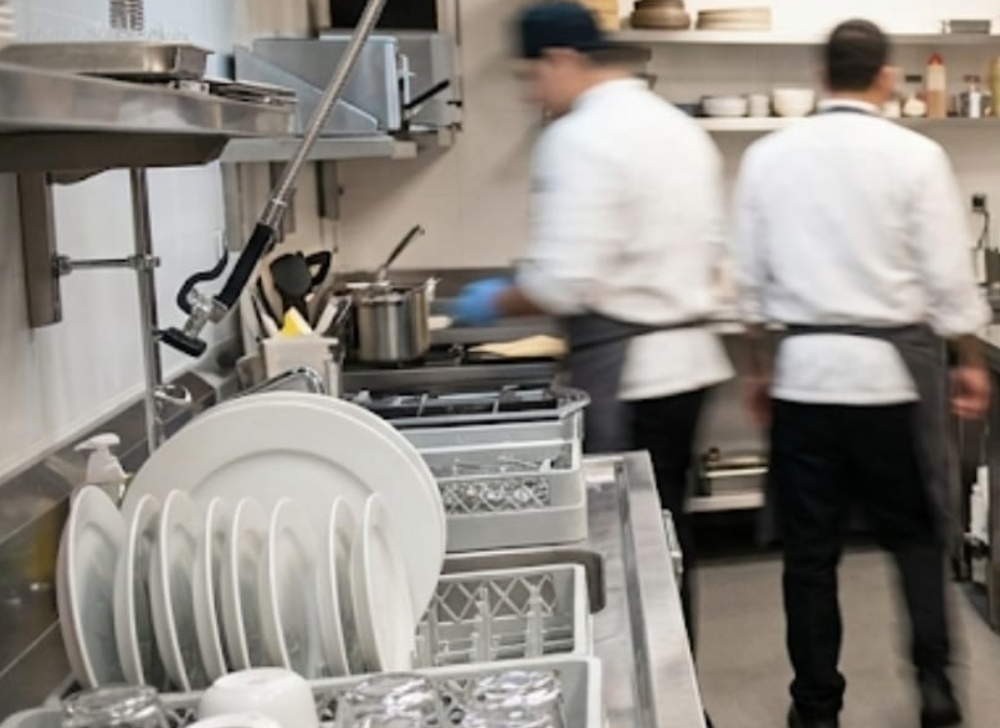 Auxiliar de Limpieza y Desinfección Steward para Cocinas Industriales